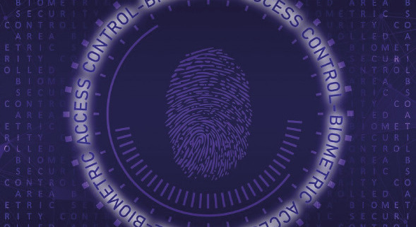 Article 45 : Biometrics: reinforced security system